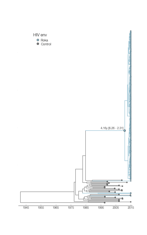 env_timetree_baltic (1)